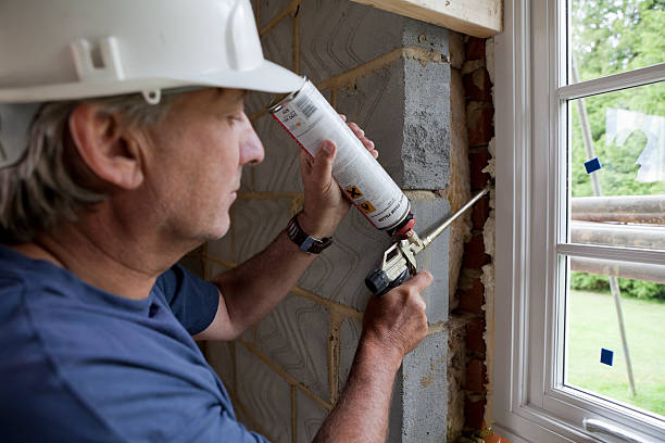 Best Affordable Insulation Services  in Fellsmere, FL