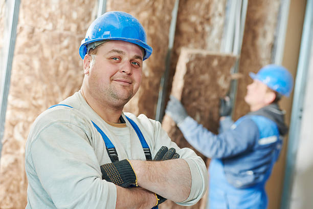 Best Energy-efficient Insulation  in Fellsmere, FL